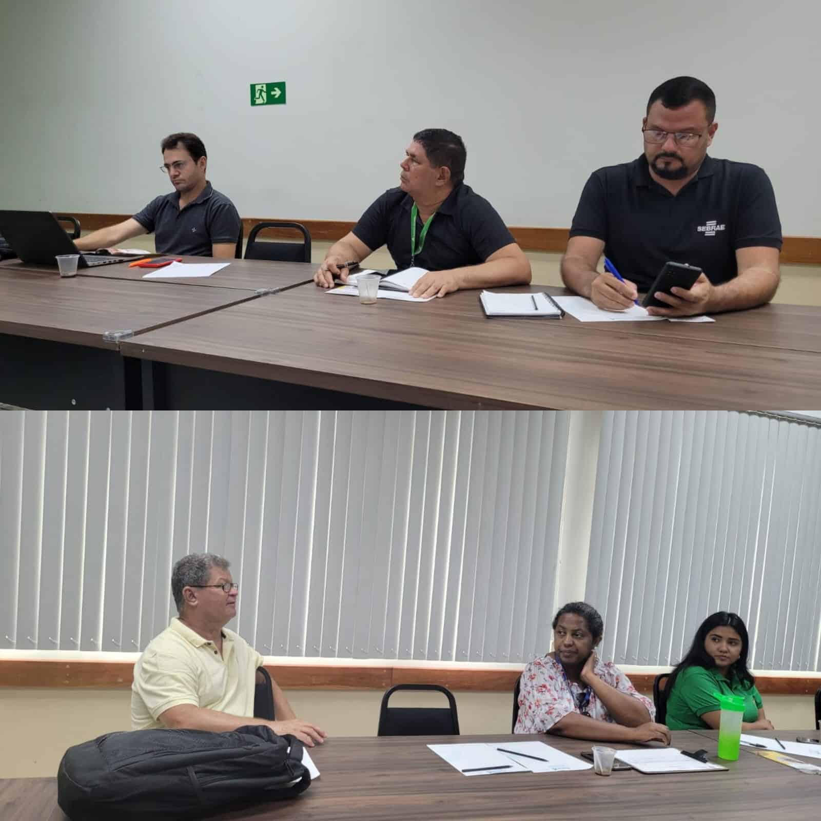 Grupo de Trabalho de Fruticultura revisa planejamento de 2023 e debate prevenção da praga da mosca-da-carambola