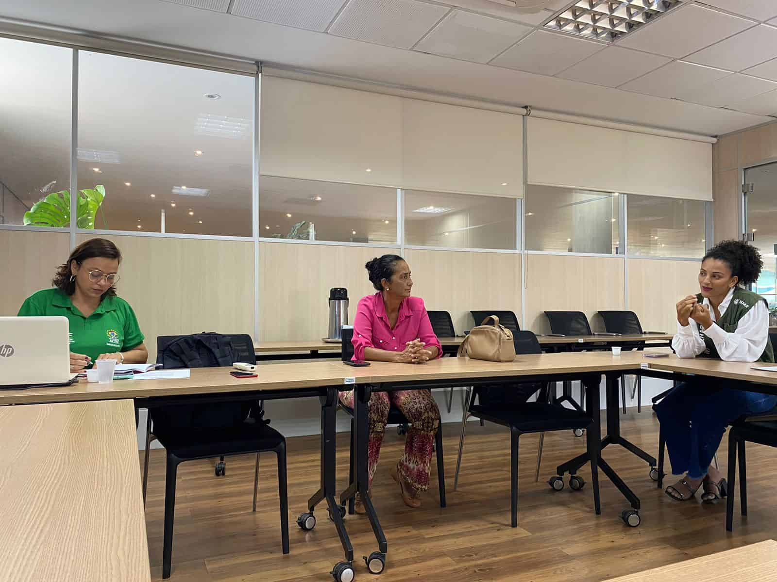 Durante reunião, Grupo de Trabalho de Mandiocultura debate legislação de produtos artesanais e prejuízos da praga mandarová